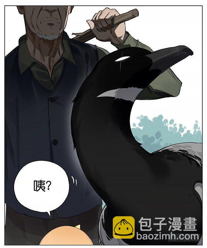 人类好可爱。