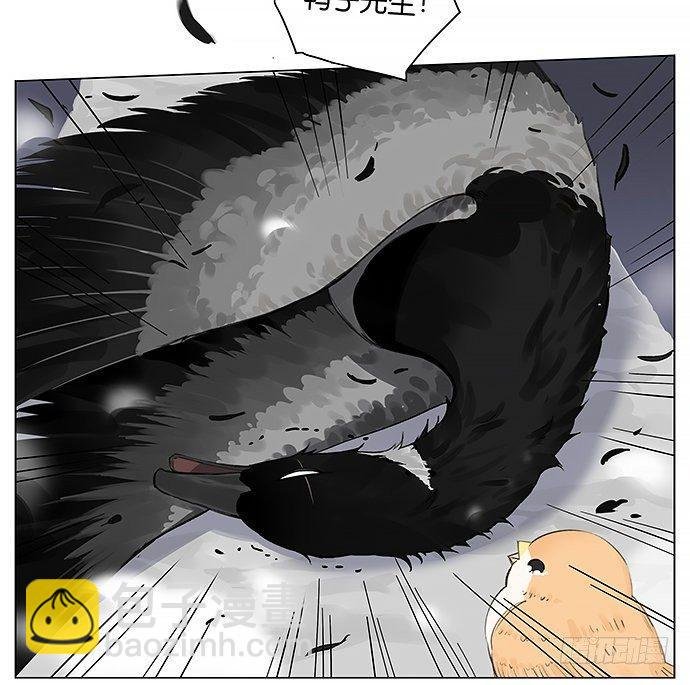 人类好可爱。