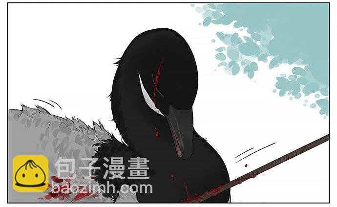 黑雁。