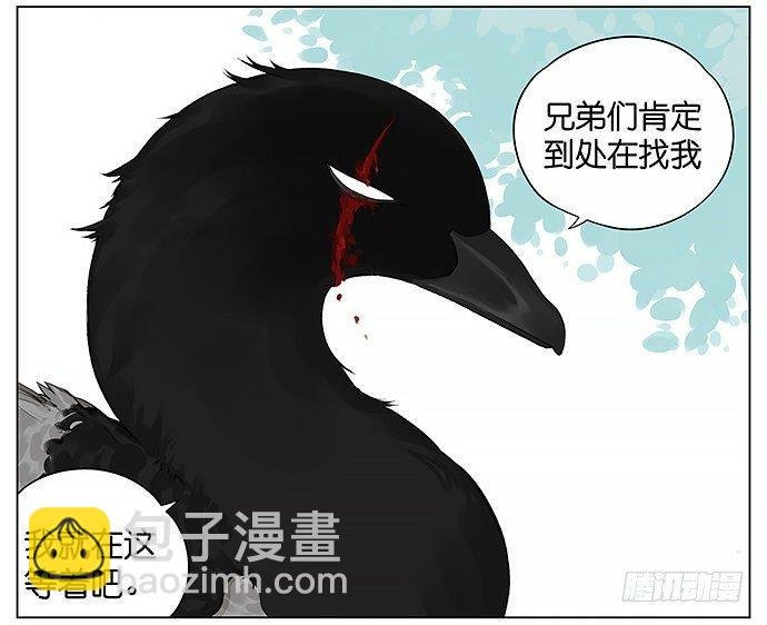 黑雁。