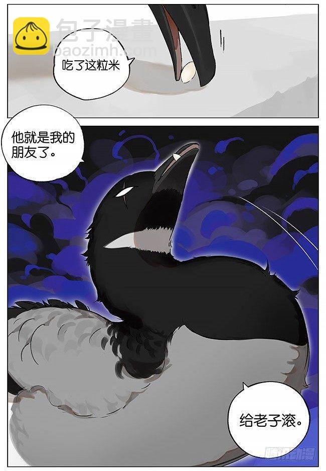 南方的鸟和北方的鸟