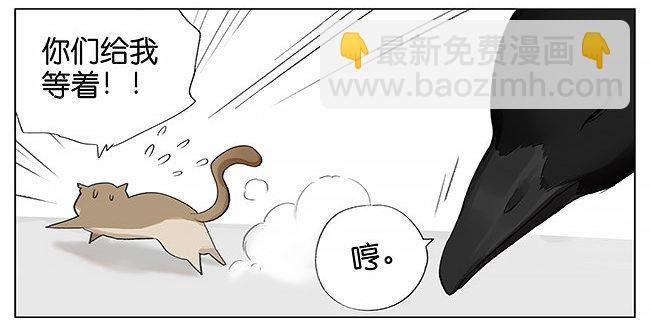 南方的鸟和北方的鸟