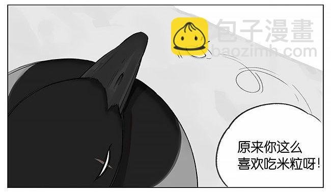 南方的鸟和北方的鸟