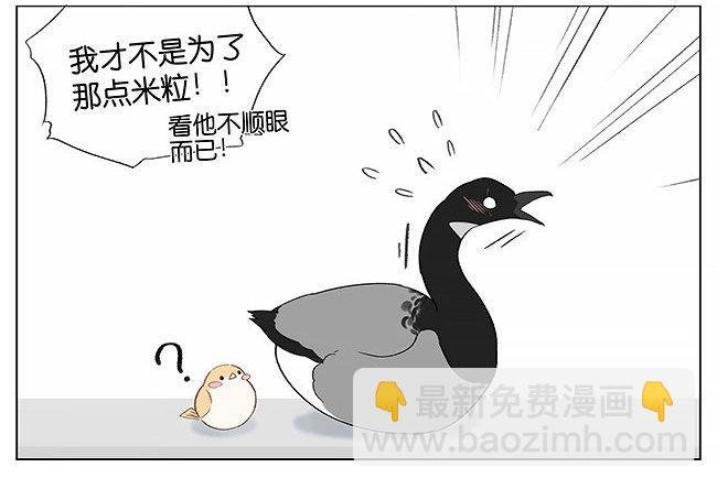 南方的鸟和北方的鸟