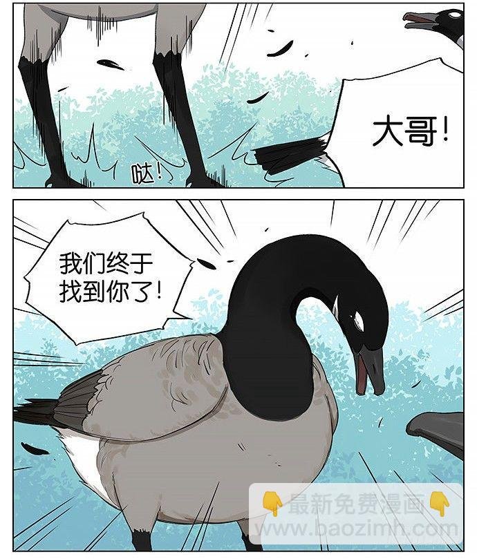 回北方。