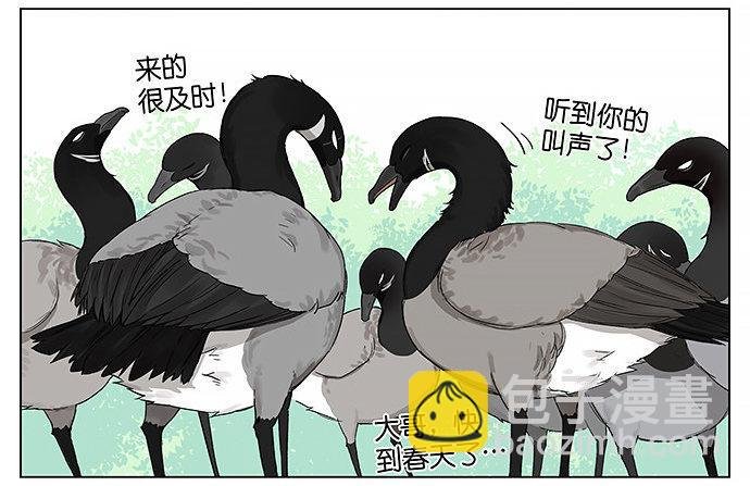 回北方。