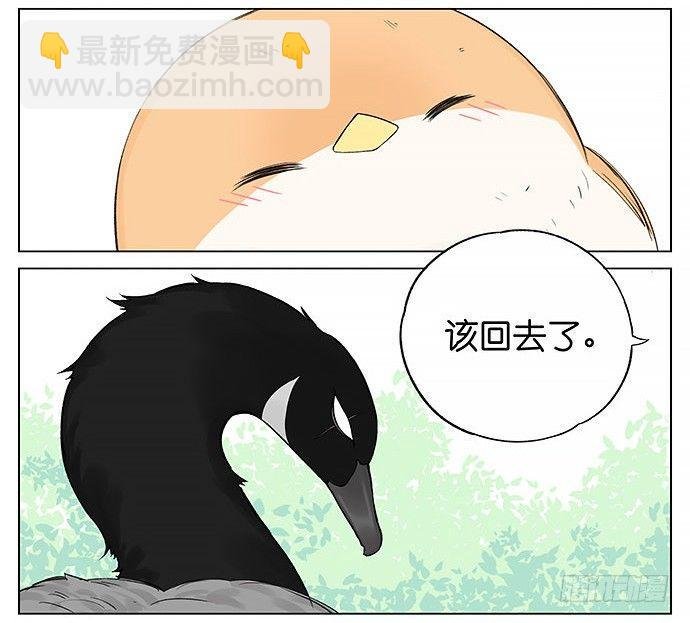 回北方。