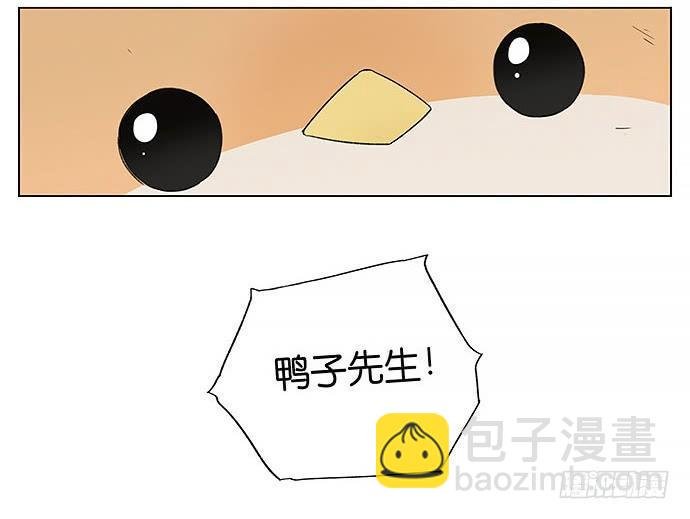 回北方。