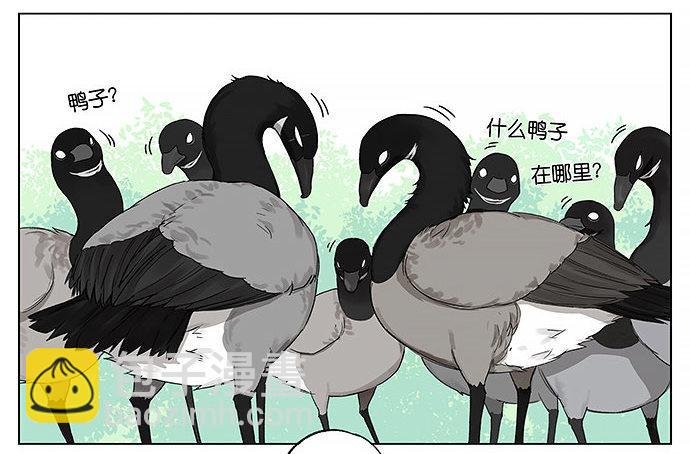 回北方。