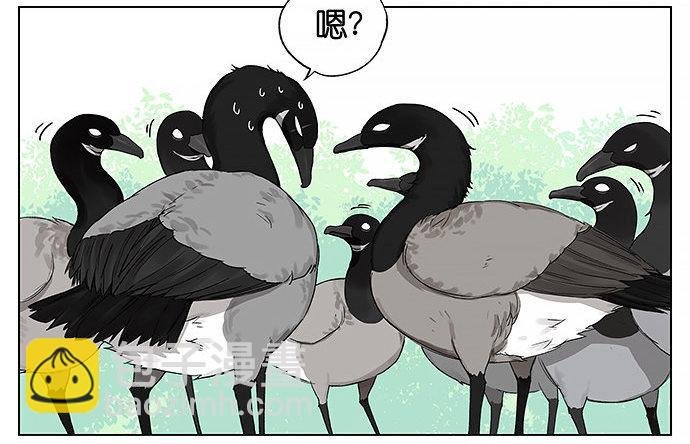 回北方。