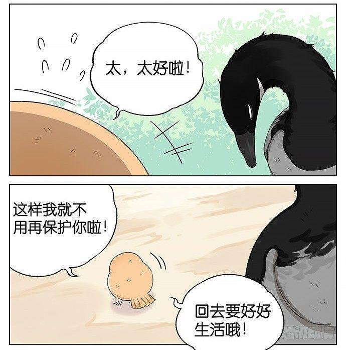 回北方。