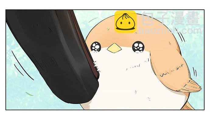 回北方。