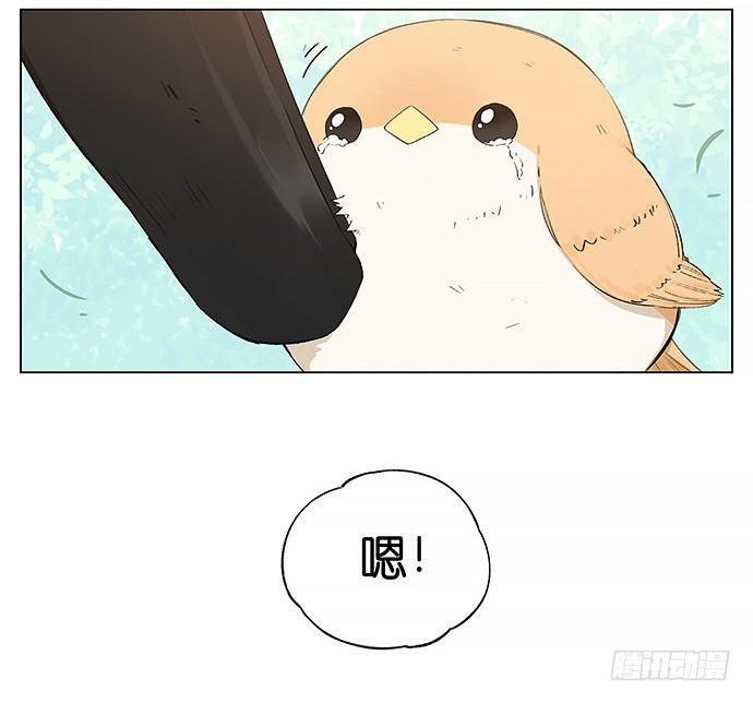 回北方。
