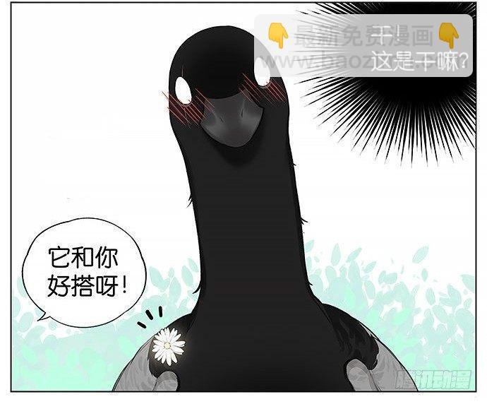 南方的麻雀和北方的麻雀。