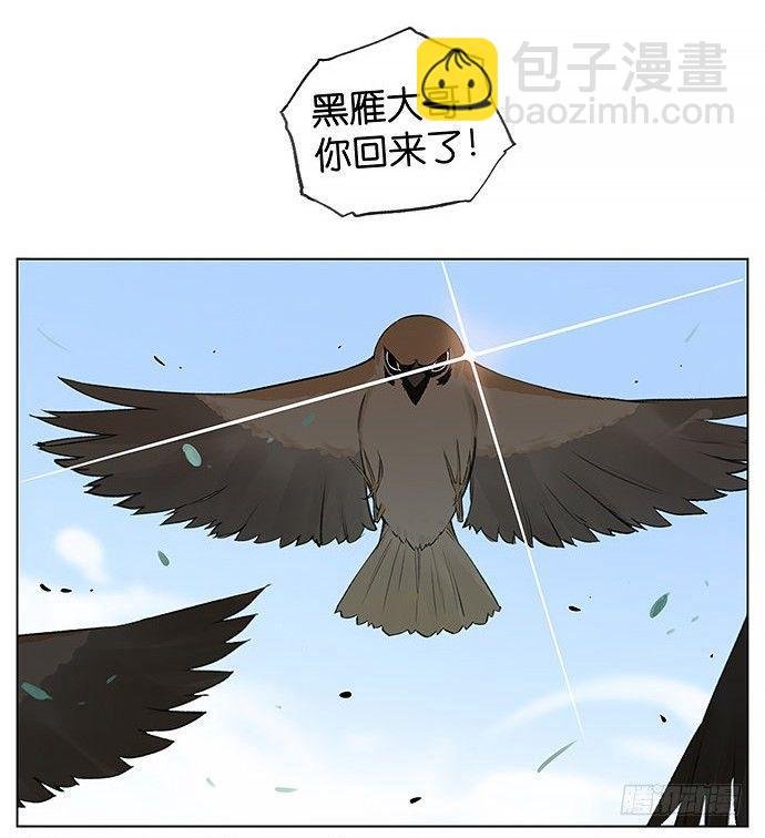 南方的麻雀和北方的麻雀。