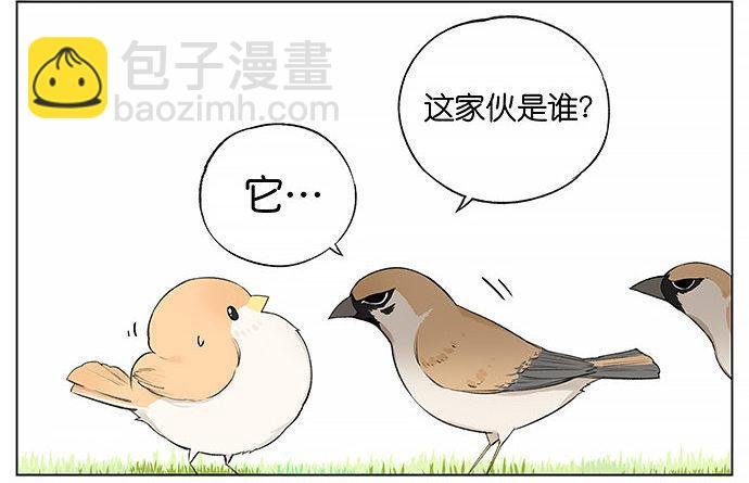 南方的麻雀和北方的麻雀。
