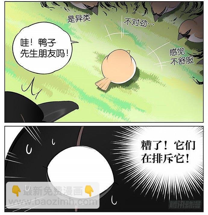 南方的麻雀和北方的麻雀。