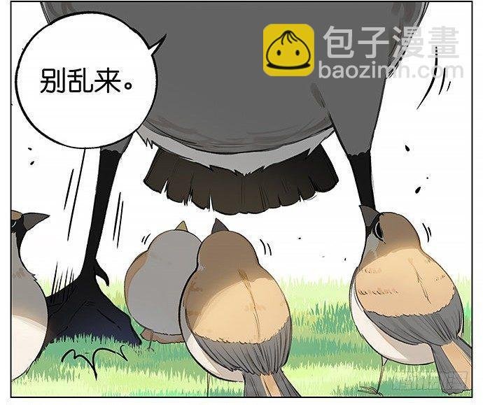 南方的麻雀和北方的麻雀。