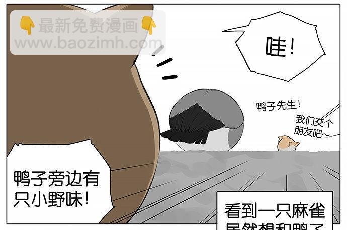 可爱的猫咪。
