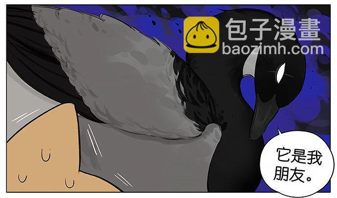可爱的猫咪。