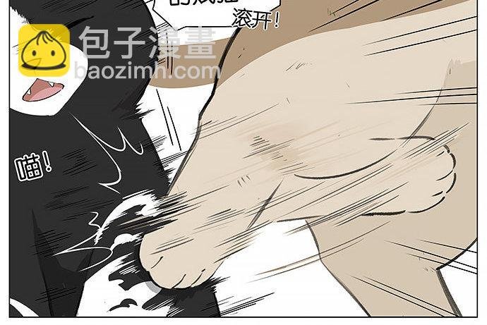 可爱的猫咪。