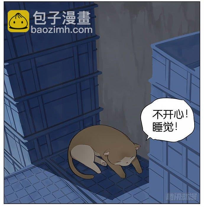 可爱的猫咪。