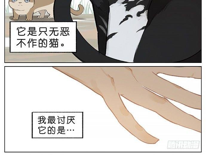 我被一只猫绑架了。