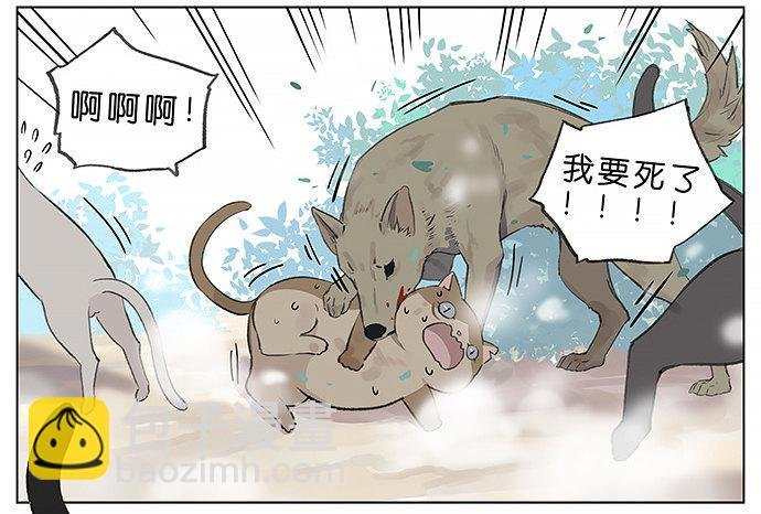 我被一只猫绑架了。