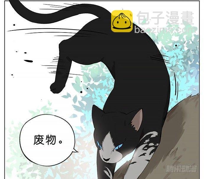 我被一只猫绑架了。