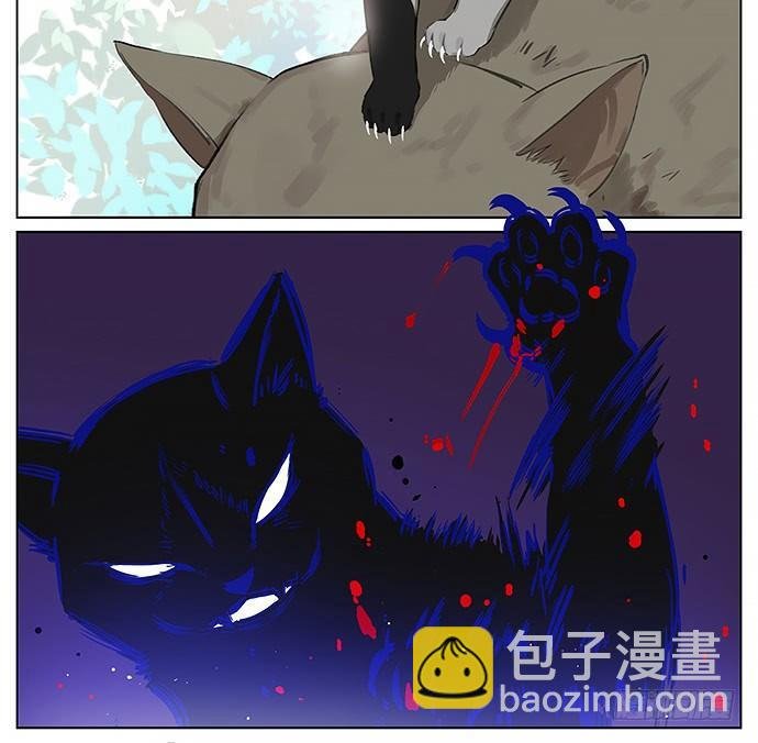 我被一只猫绑架了。