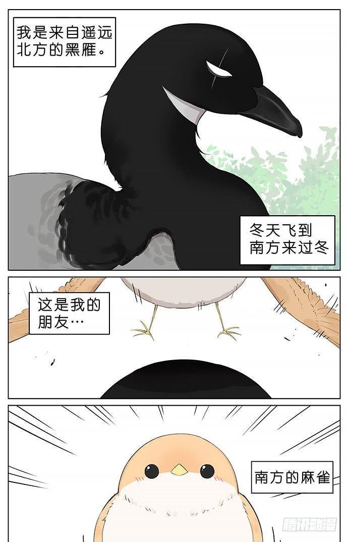 冬天相互取暖的鸟。