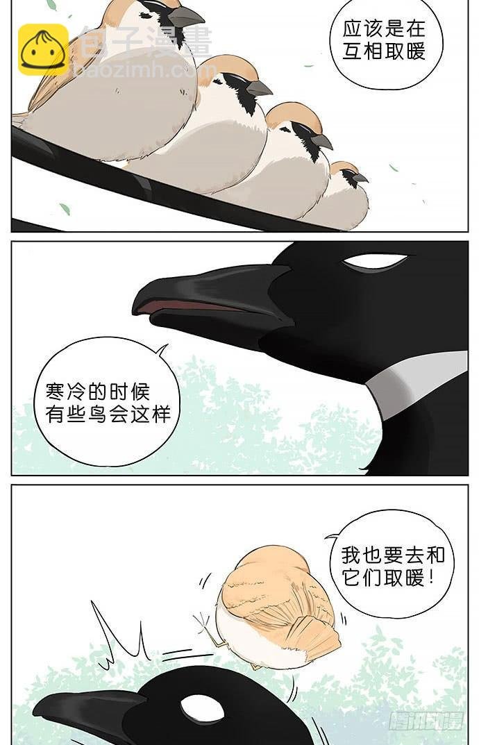 冬天相互取暖的鸟。