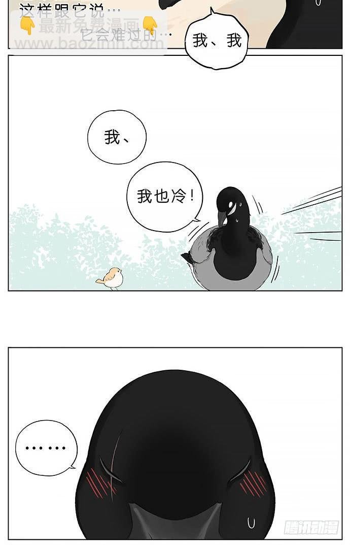 冬天相互取暖的鸟。