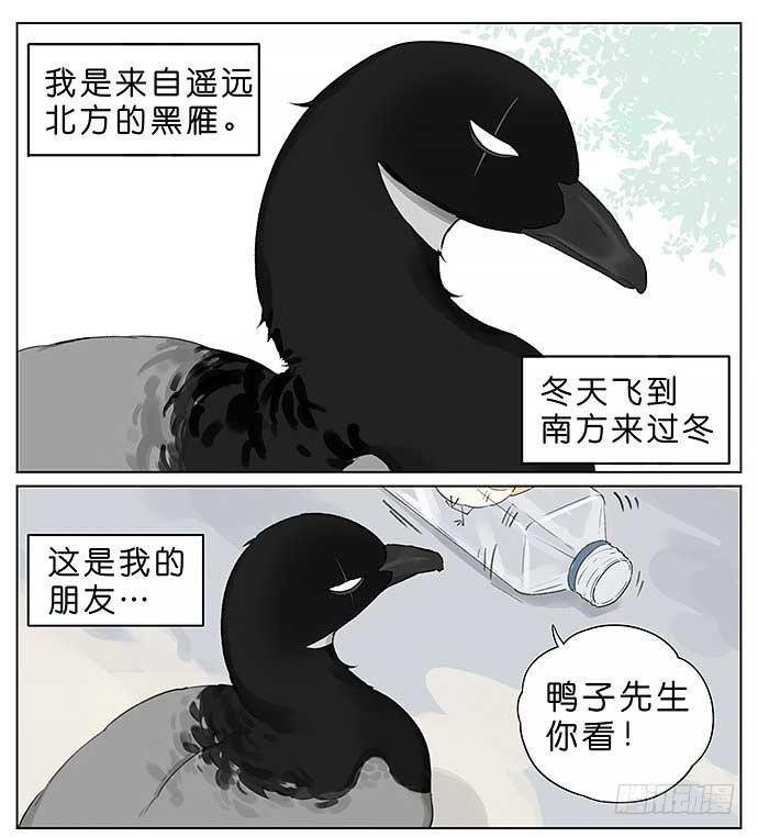 麻雀的鸟巢。