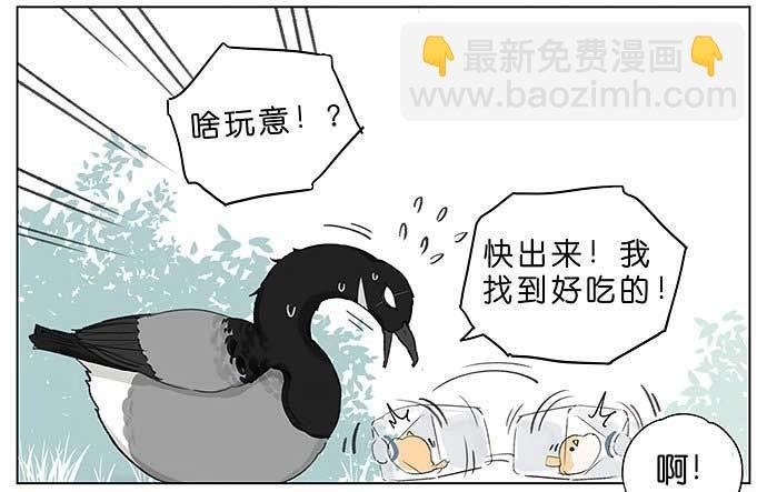 麻雀的鸟巢。