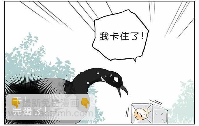 麻雀的鸟巢。