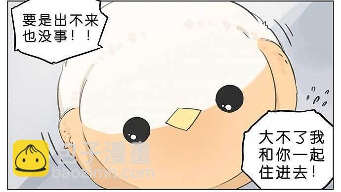 麻雀的鸟巢。