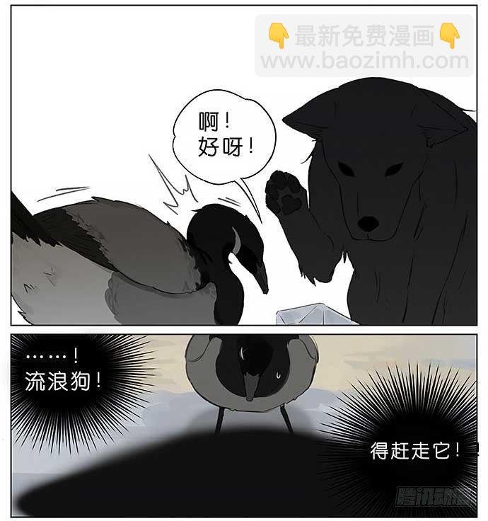 麻雀的鸟巢。