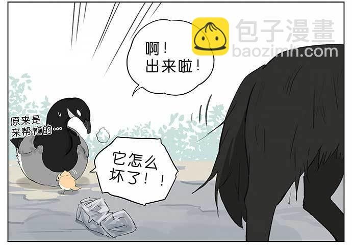 麻雀的鸟巢。