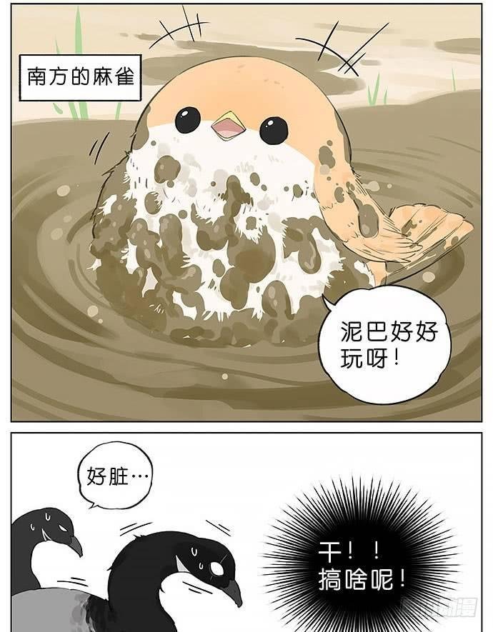 玩泥巴的鸟。