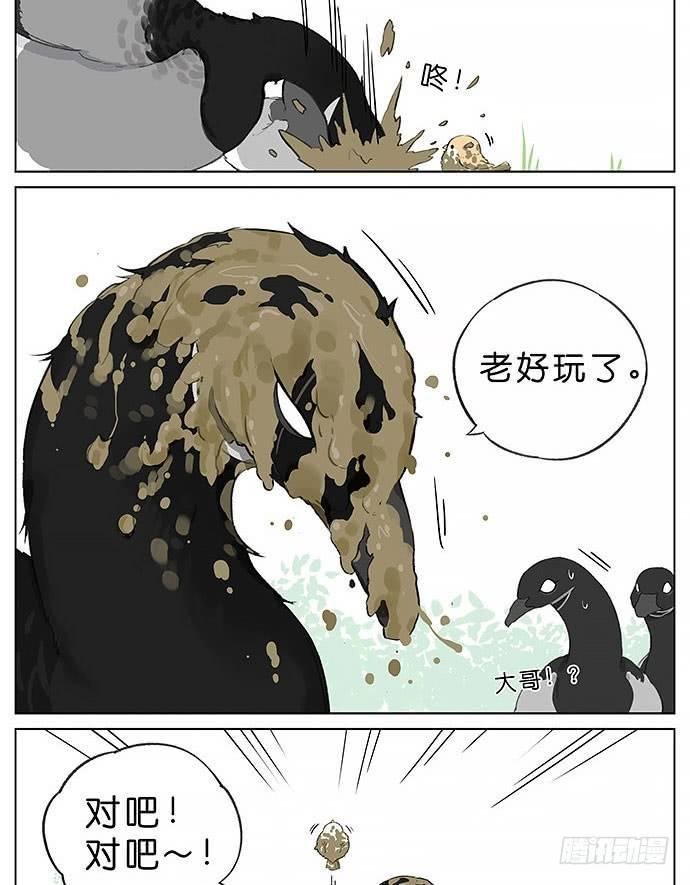 玩泥巴的鸟。