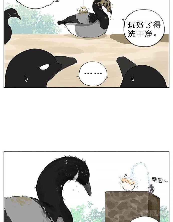 玩泥巴的鸟。