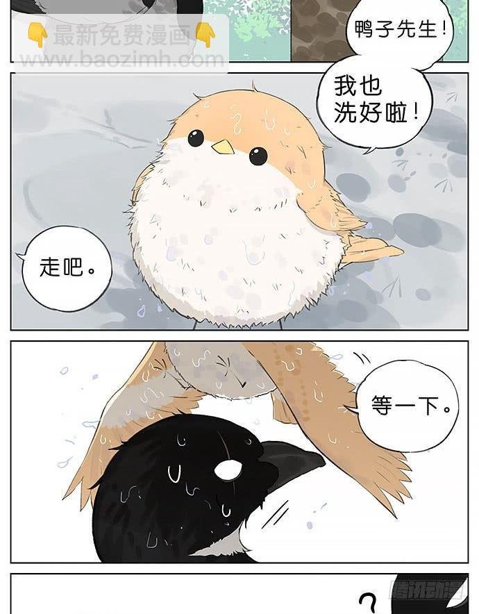 玩泥巴的鸟。