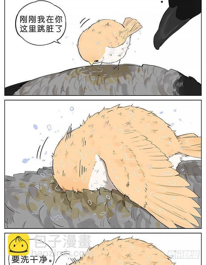 玩泥巴的鸟。