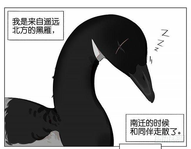 觅食。