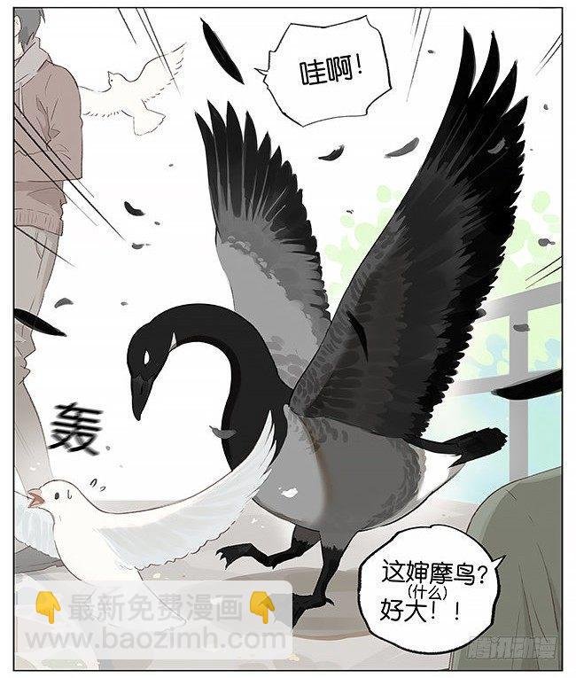 觅食。