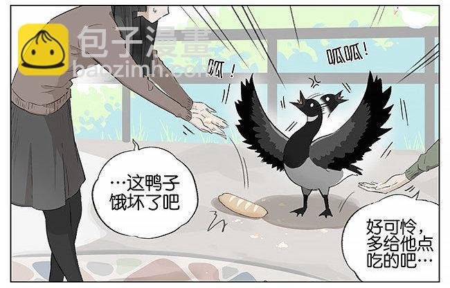 觅食。
