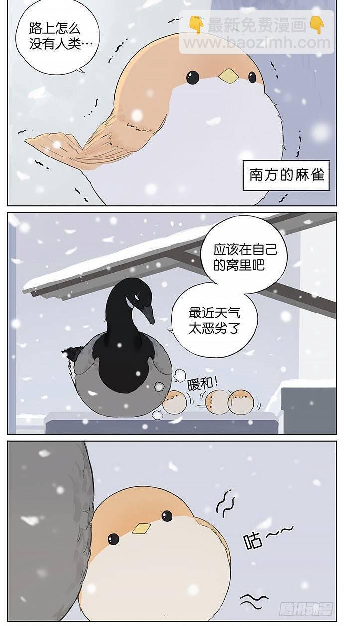 暴风雪。