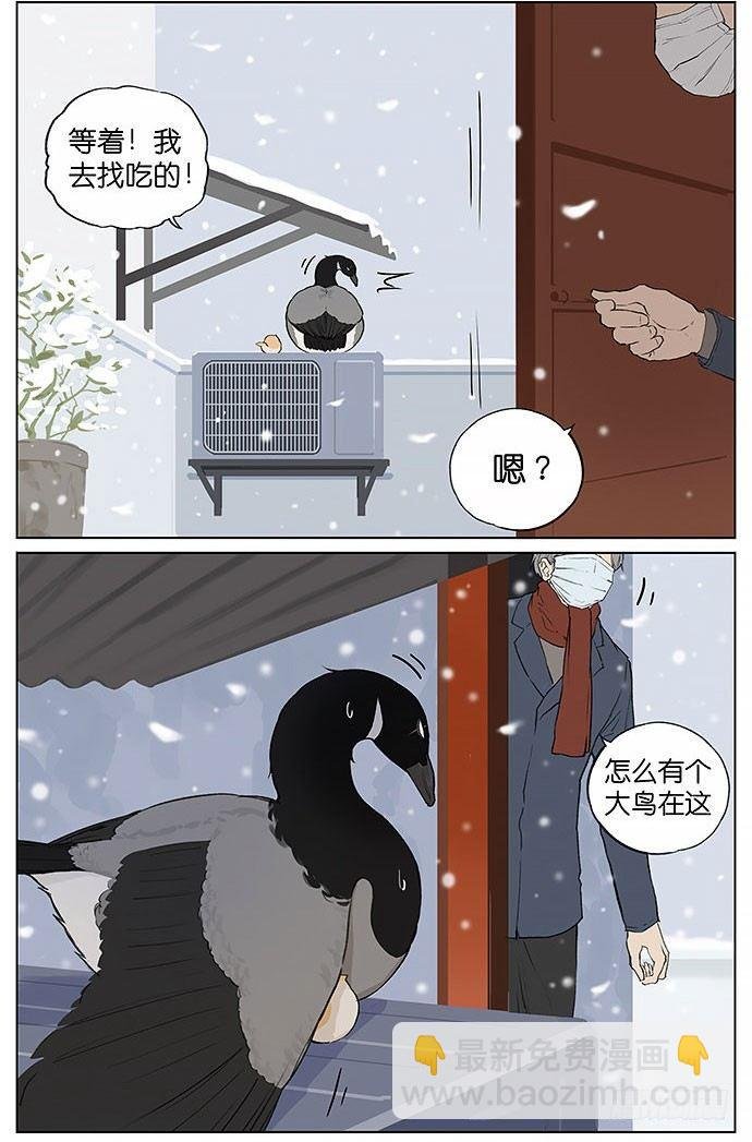 暴风雪。