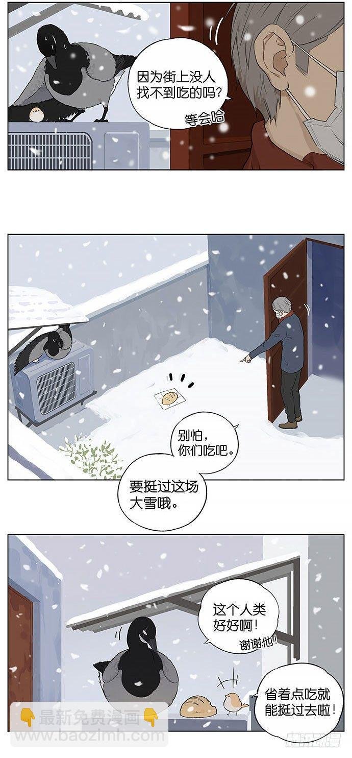 暴风雪。